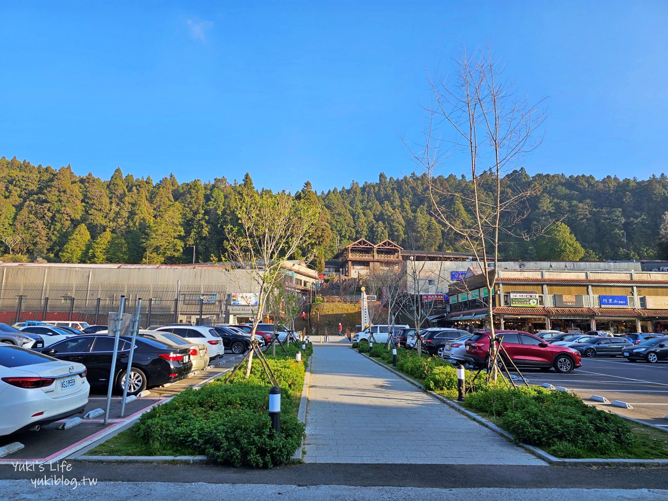 嘉義景點》阿里山看日出攻略，如何搭阿里山電動遊園車呢？ - yuki.tw