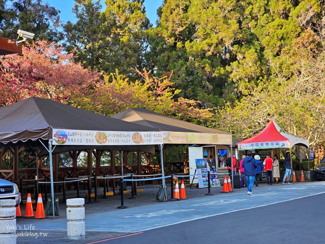 嘉義景點》阿里山看日出攻略，如何搭阿里山電動遊園車呢？ - yuki.tw