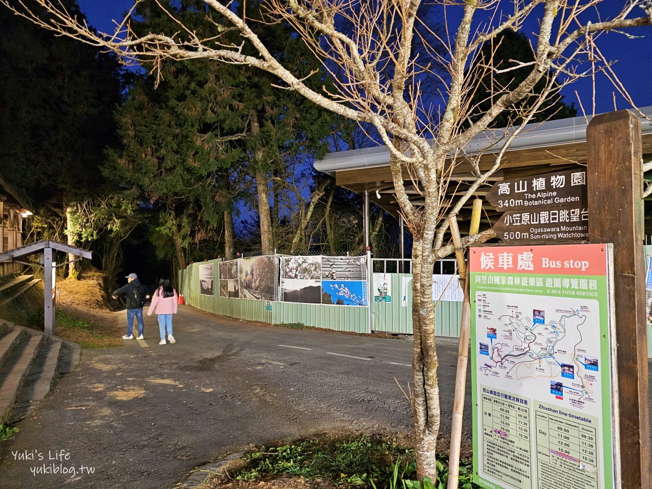 嘉義景點》阿里山看日出攻略，如何搭阿里山電動遊園車呢？ - yuki.tw