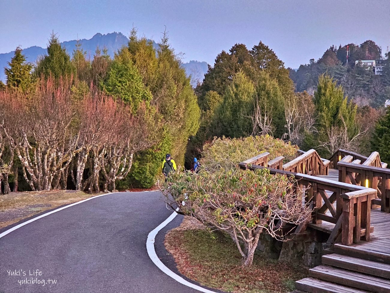 嘉義景點》阿里山看日出攻略，如何搭阿里山電動遊園車呢？ - yuki.tw