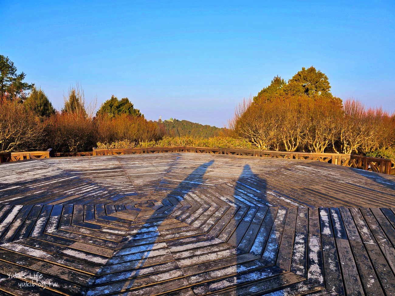 嘉義景點》阿里山看日出攻略，如何搭阿里山電動遊園車呢？ - yuki.tw