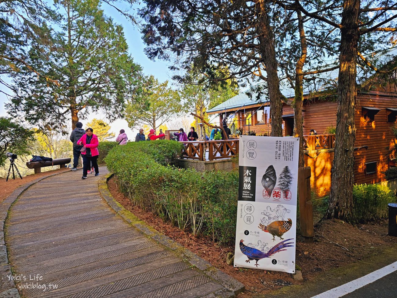 嘉義景點》阿里山看日出攻略，如何搭阿里山電動遊園車呢？ - yuki.tw