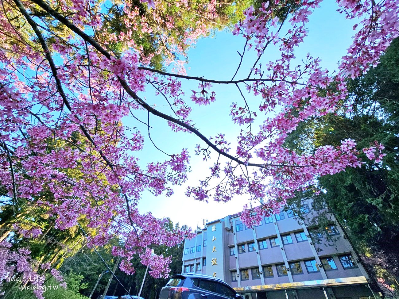 嘉義住宿飯店推薦》阿里山櫻山大飯店，走路就能搭火車看日出，7-11買零食買宵夜好方便