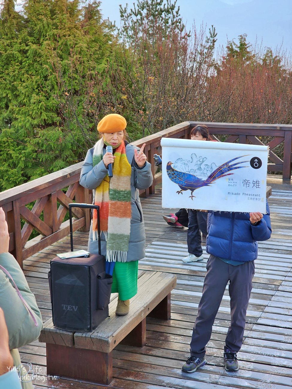 嘉義景點》阿里山看日出攻略，如何搭阿里山電動遊園車呢？ - yuki.tw