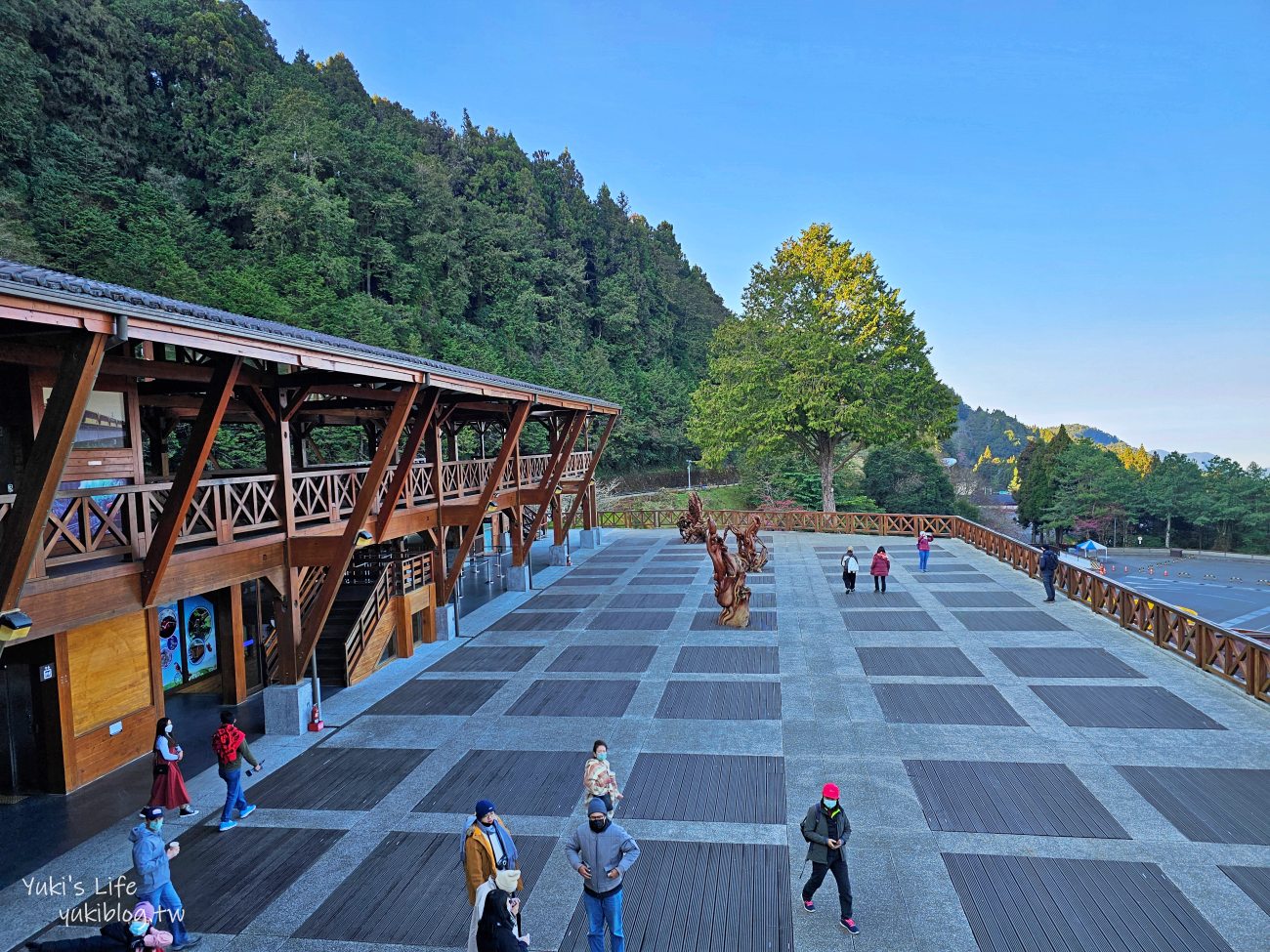 嘉義景點》阿里山國家森林遊樂區一日遊，仙境般必拍景點行程懶人包！阿里山日出巨木全攻略！ - yuki.tw