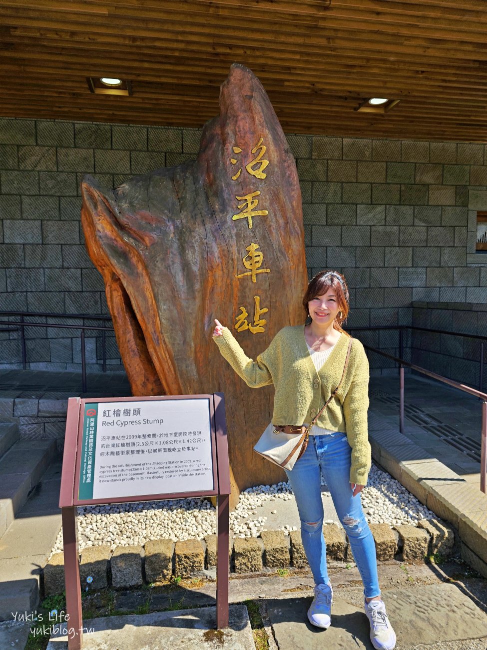 嘉義景點》阿里山國家森林遊樂區一日遊，仙境般必拍景點行程懶人包！阿里山日出巨木全攻略！ - yuki.tw