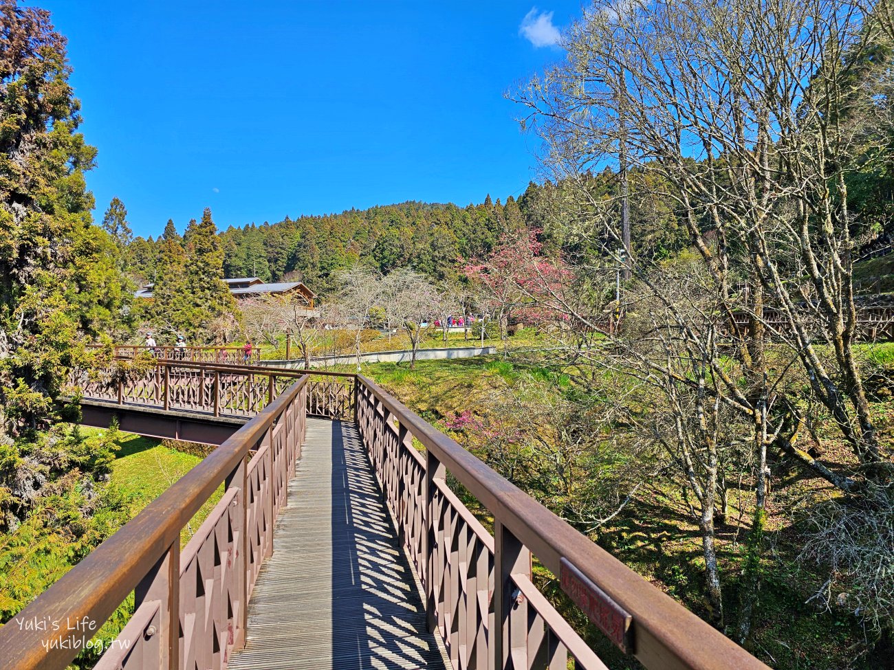 嘉義景點》阿里山國家森林遊樂區一日遊，仙境般必拍景點行程懶人包！阿里山日出巨木全攻略！ - yuki.tw