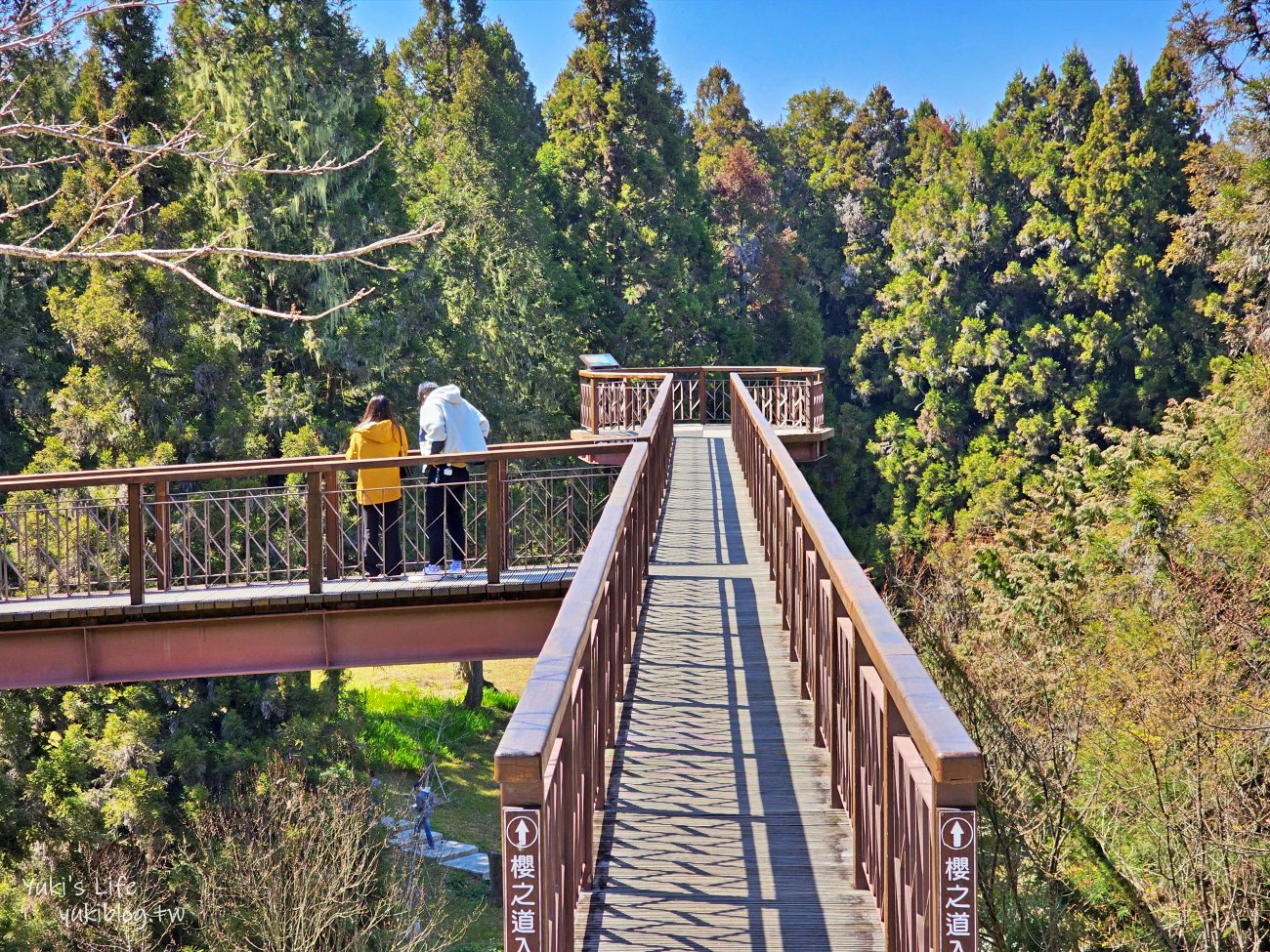 嘉義景點》阿里山國家森林遊樂區一日遊，仙境般必拍景點行程懶人包！阿里山日出巨木全攻略！ - yuki.tw