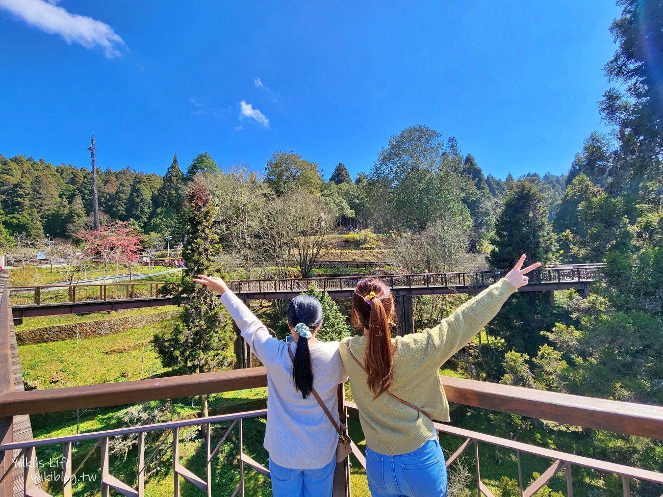 嘉義景點》阿里山國家森林遊樂區一日遊，仙境般必拍景點行程懶人包！阿里山日出巨木全攻略！ - yuki.tw