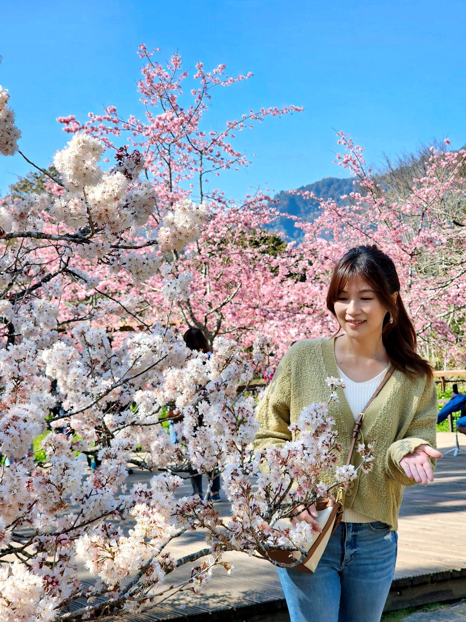 嘉義景點》阿里山國家森林遊樂區一日遊，仙境般必拍景點行程懶人包！阿里山日出巨木全攻略！ - yuki.tw