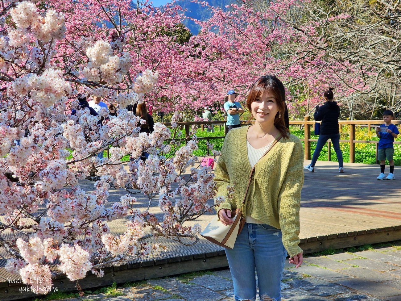 嘉義景點》阿里山國家森林遊樂區一日遊，仙境般必拍景點行程懶人包！阿里山日出巨木全攻略！ - yuki.tw