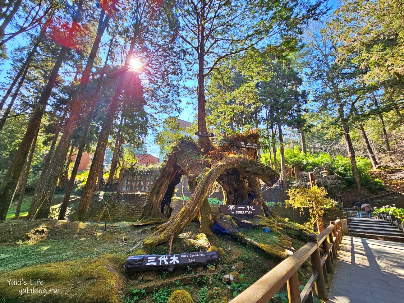 嘉義景點》阿里山國家森林遊樂區一日遊，仙境般必拍景點行程懶人包！阿里山日出巨木全攻略！ - yuki.tw