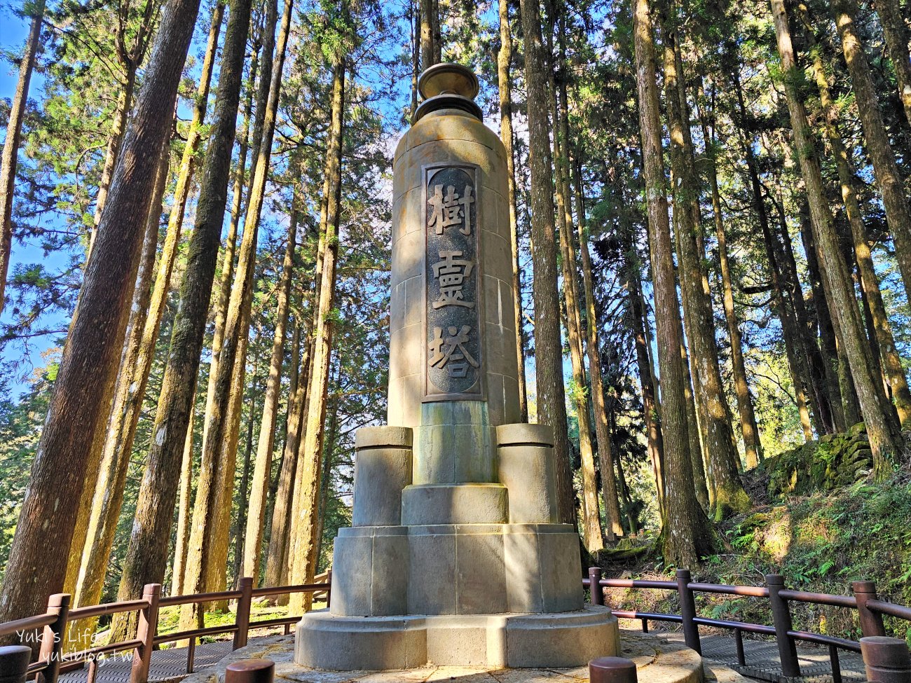 嘉義景點》阿里山國家森林遊樂區一日遊，仙境般必拍景點行程懶人包！阿里山日出巨木全攻略！ - yuki.tw