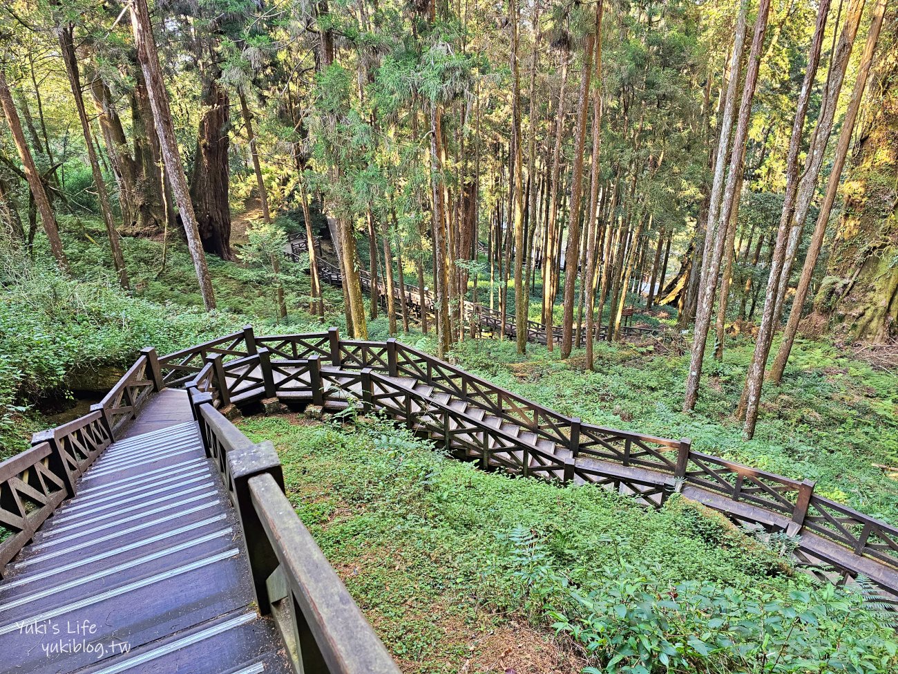 嘉義景點》阿里山國家森林遊樂區一日遊，仙境般必拍景點行程懶人包！阿里山日出巨木全攻略！ - yuki.tw