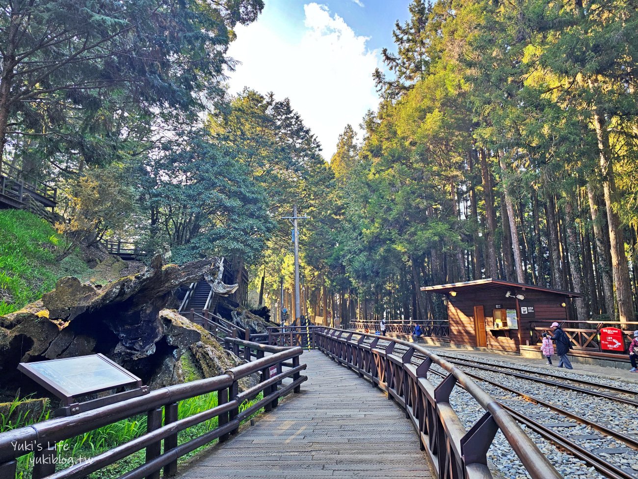 嘉義景點》阿里山國家森林遊樂區一日遊，仙境般必拍景點行程懶人包！阿里山日出巨木全攻略！ - yuki.tw