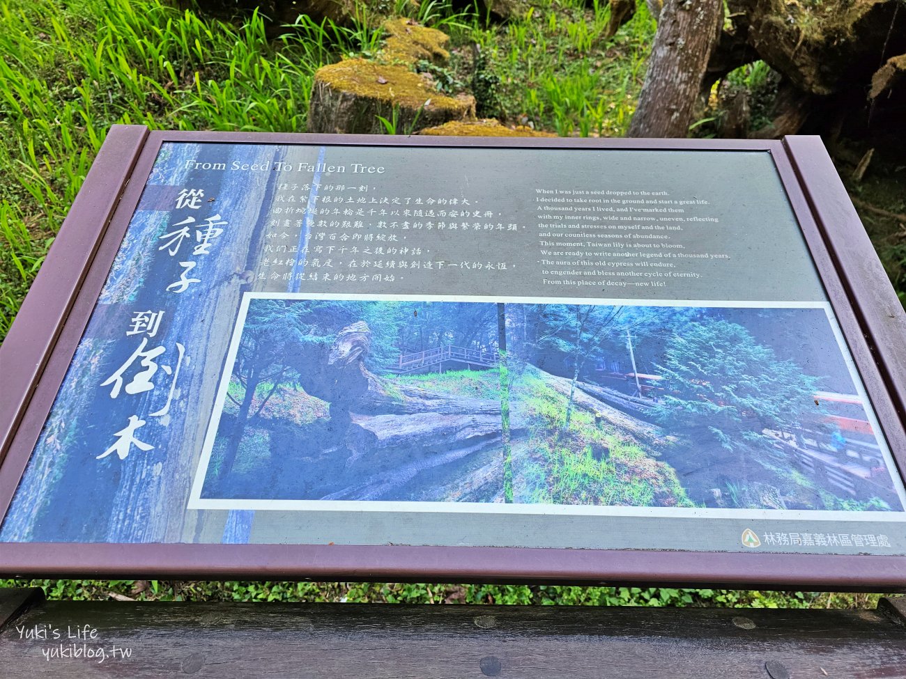 嘉義景點》阿里山國家森林遊樂區一日遊，仙境般必拍景點行程懶人包！阿里山日出巨木全攻略！ - yuki.tw