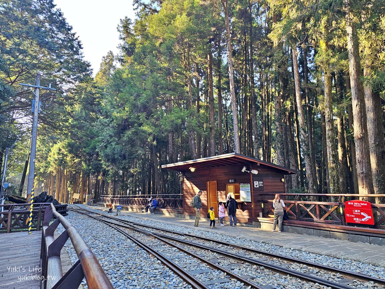 嘉義景點》阿里山國家森林遊樂區一日遊，仙境般必拍景點行程懶人包！阿里山日出巨木全攻略！ - yuki.tw