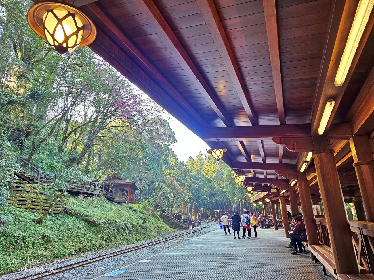 嘉義景點》阿里山國家森林遊樂區一日遊，仙境般必拍景點行程懶人包！阿里山日出巨木全攻略！ - yuki.tw