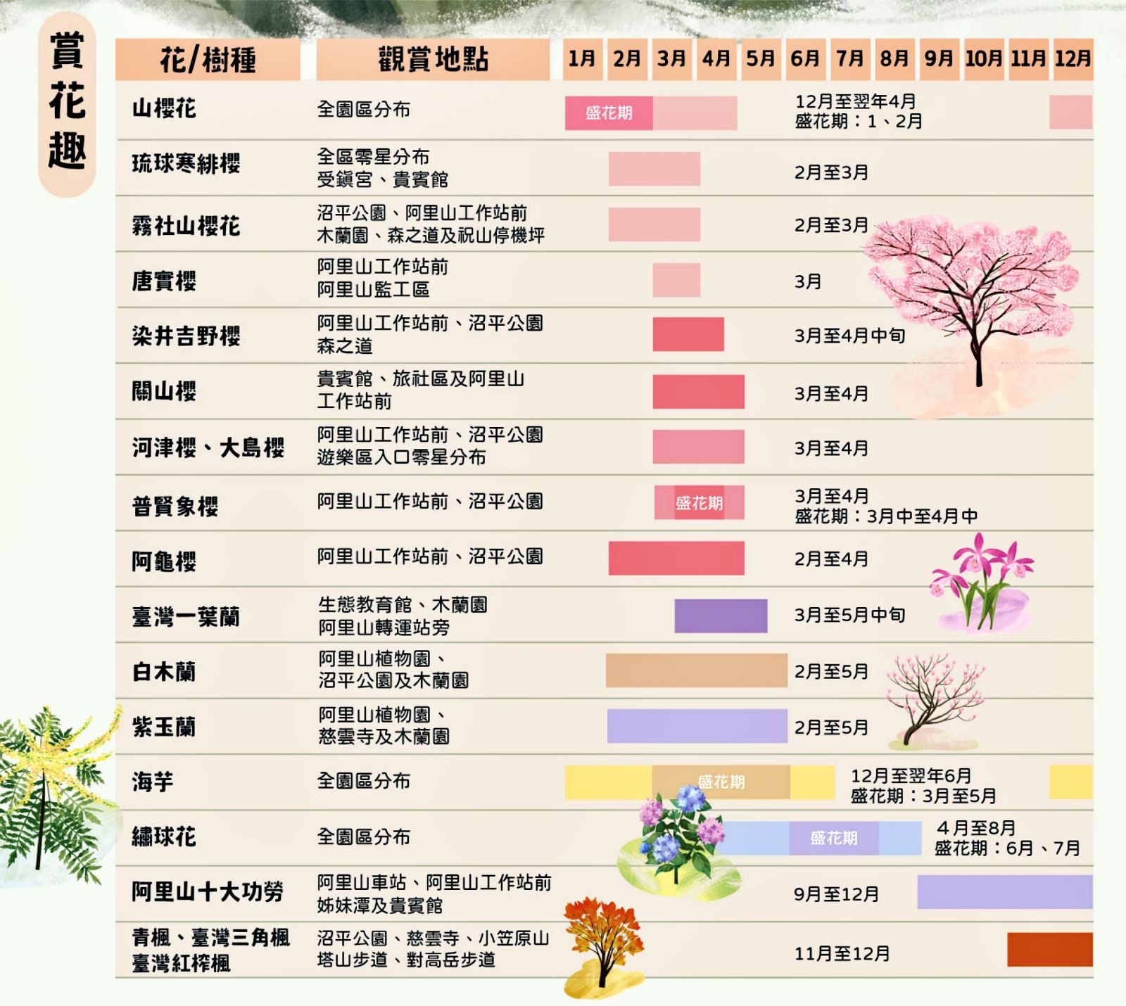 嘉義景點》阿里山國家森林遊樂區一日遊，仙境般必拍景點行程懶人包！阿里山日出巨木全攻略！ - yuki.tw