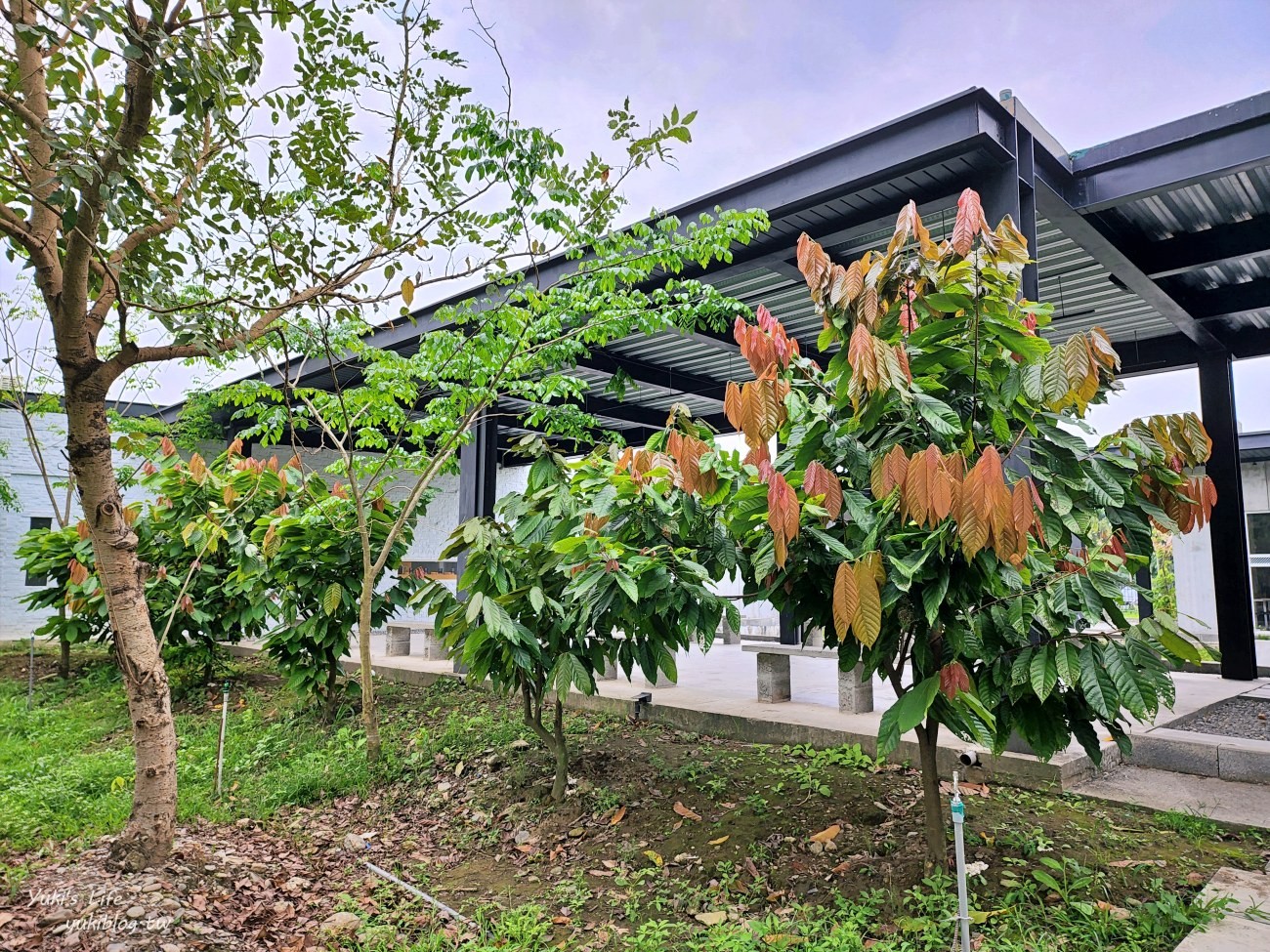 屏東景點》福爾摩莎可可農場 CACAO FARM FORMOSA 免門票網美拍照好去處 - yuki.tw