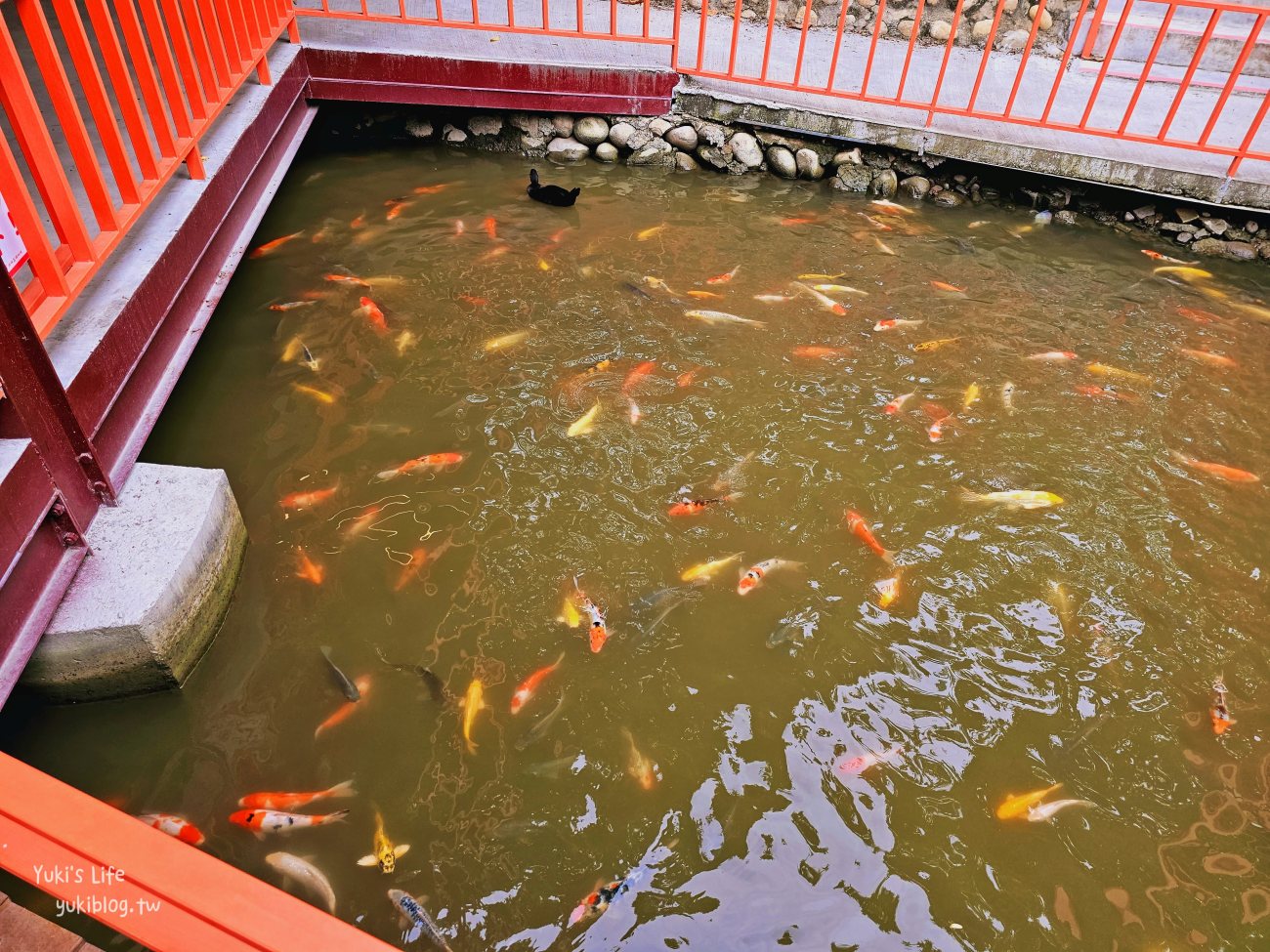 雲林景點》近水樓台湖畔森林咖啡，森林系峇里島風景觀餐廳~近期超火紅的新亮點！ - yuki.tw