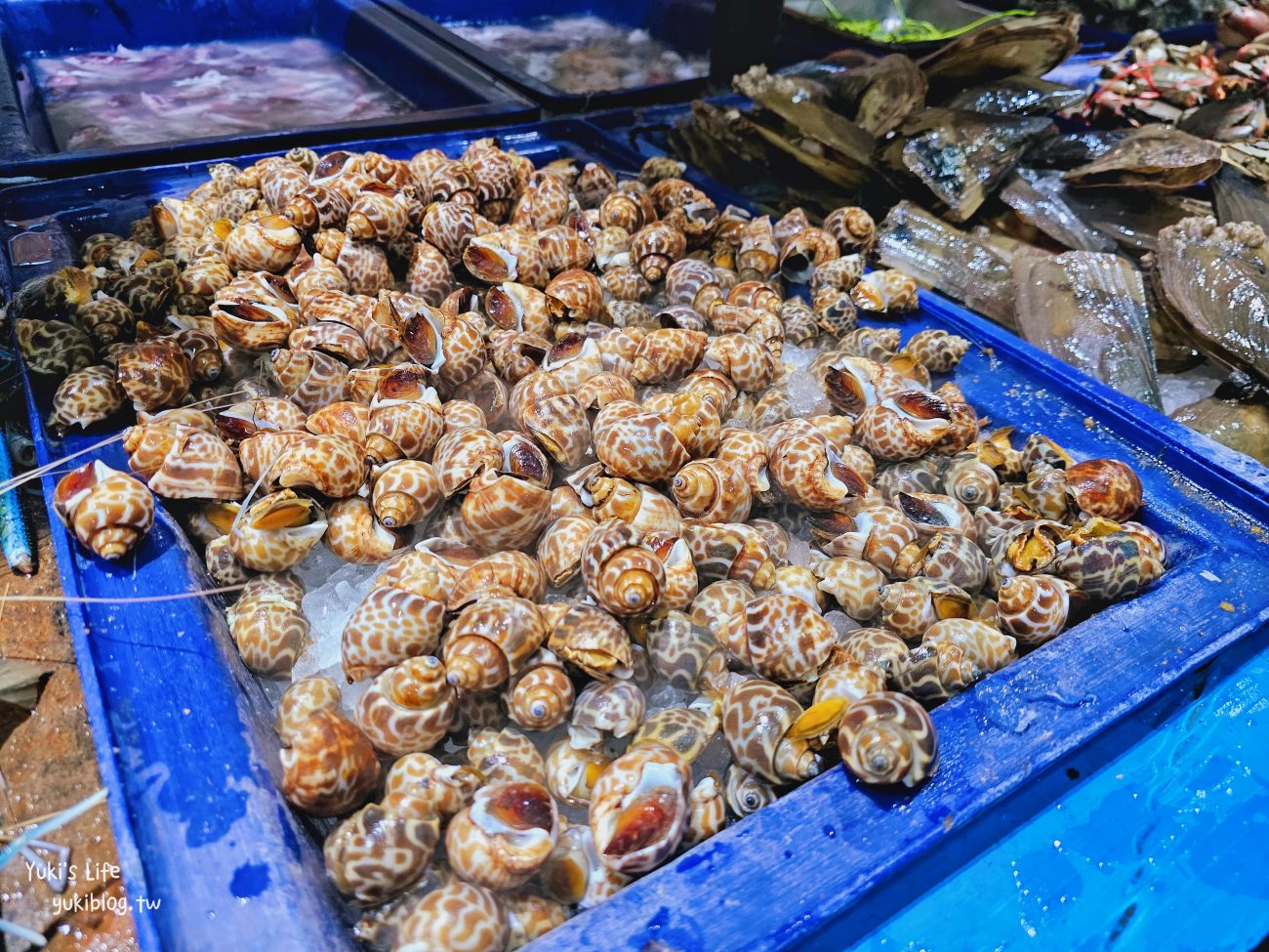 芭達雅海鮮吃到飽》一人429泰銖.泰國蝦海鮮燒烤吃到飽！熱食.烤肉.炸雞.飲料全都無限吃~ - yuki.tw