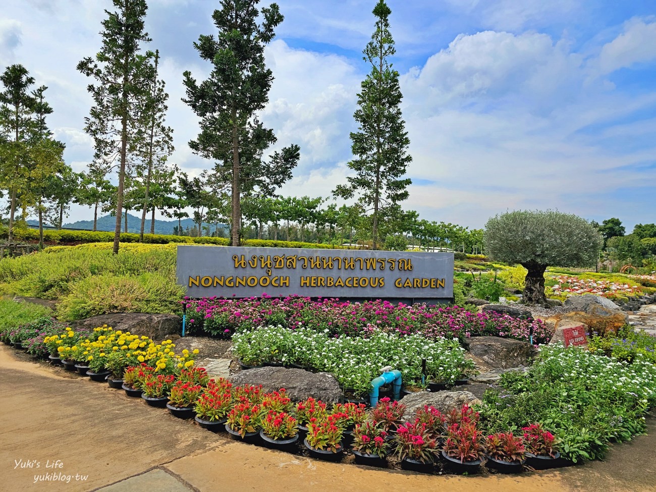 泰國景點【芭達雅東芭樂園】恐龍谷世界最美十大花園之一，門票和觀光巴士心得 - yuki.tw