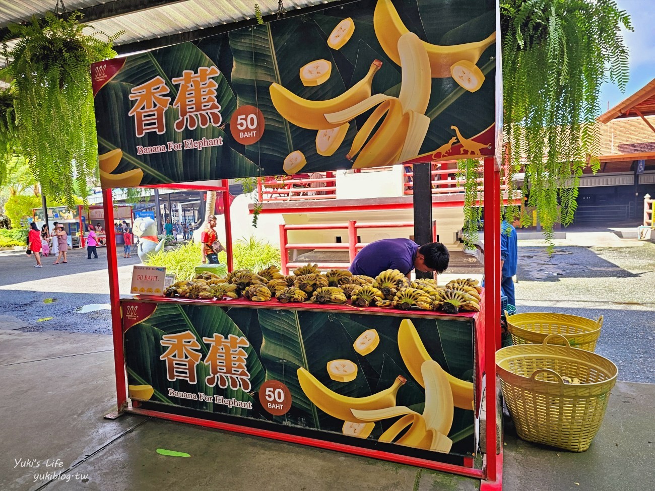 泰國景點【芭達雅東芭樂園】恐龍谷世界最美十大花園之一，門票和觀光巴士心得 - yuki.tw