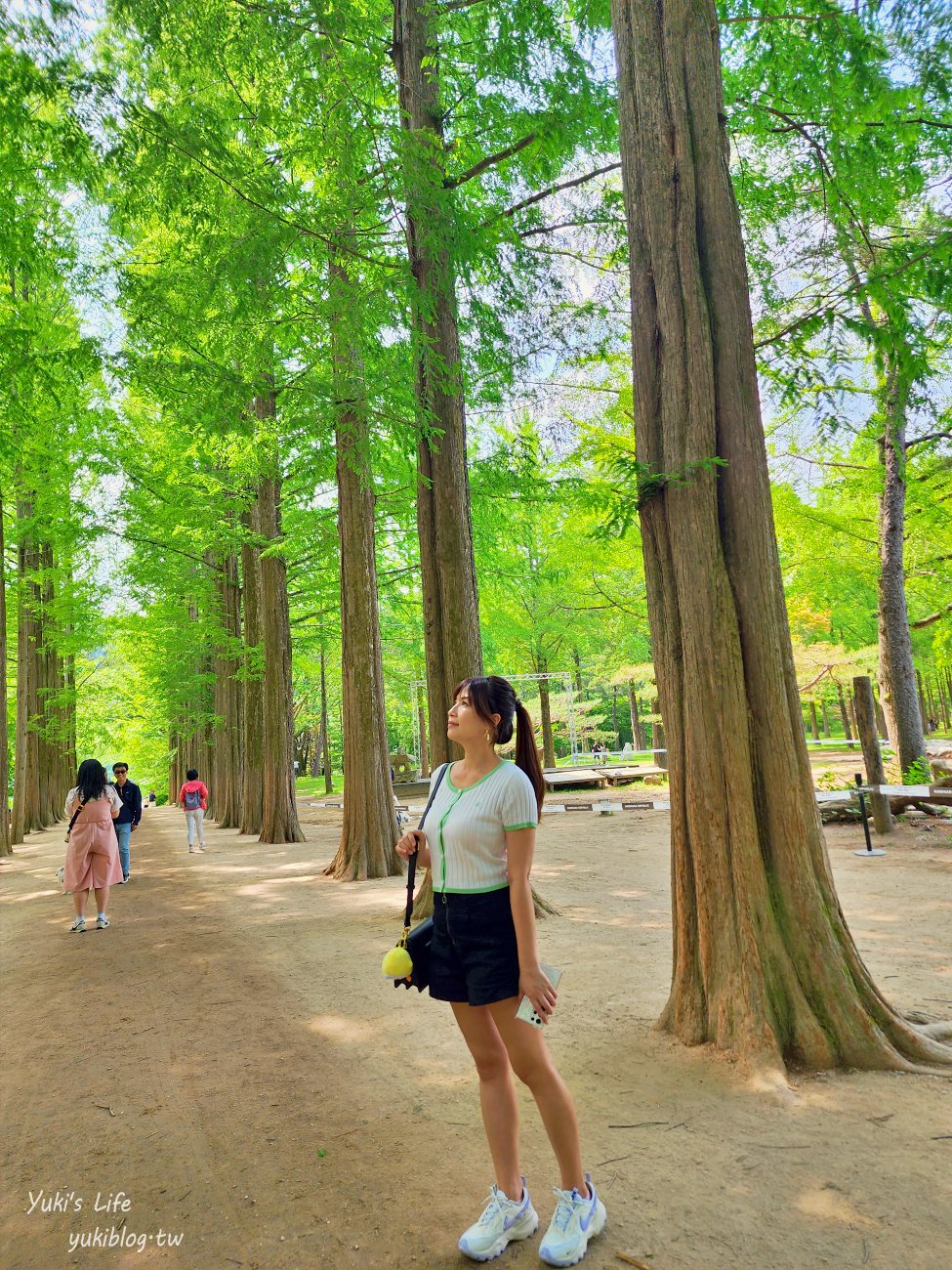 韓國景點|南怡島|韓劇熱愛取景勝地，漫步在水杉林間~享受自然之美 - yuki.tw