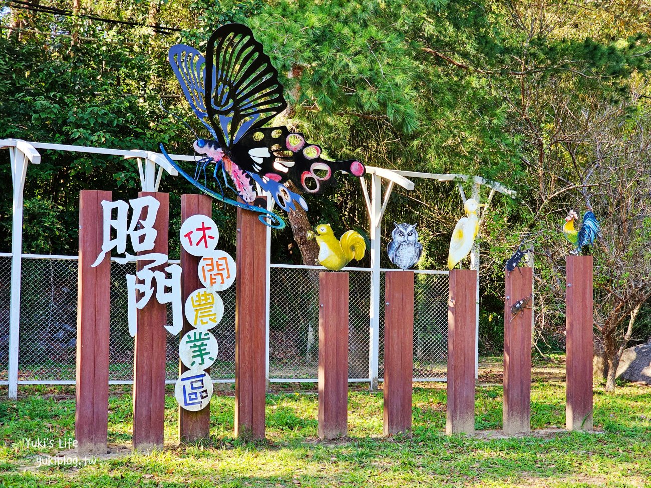 【新竹新埔一日遊】九芎湖步道落羽松必玩必吃！照門休閒農業區秘境、親子DIY、賞柿餅 - yuki.tw