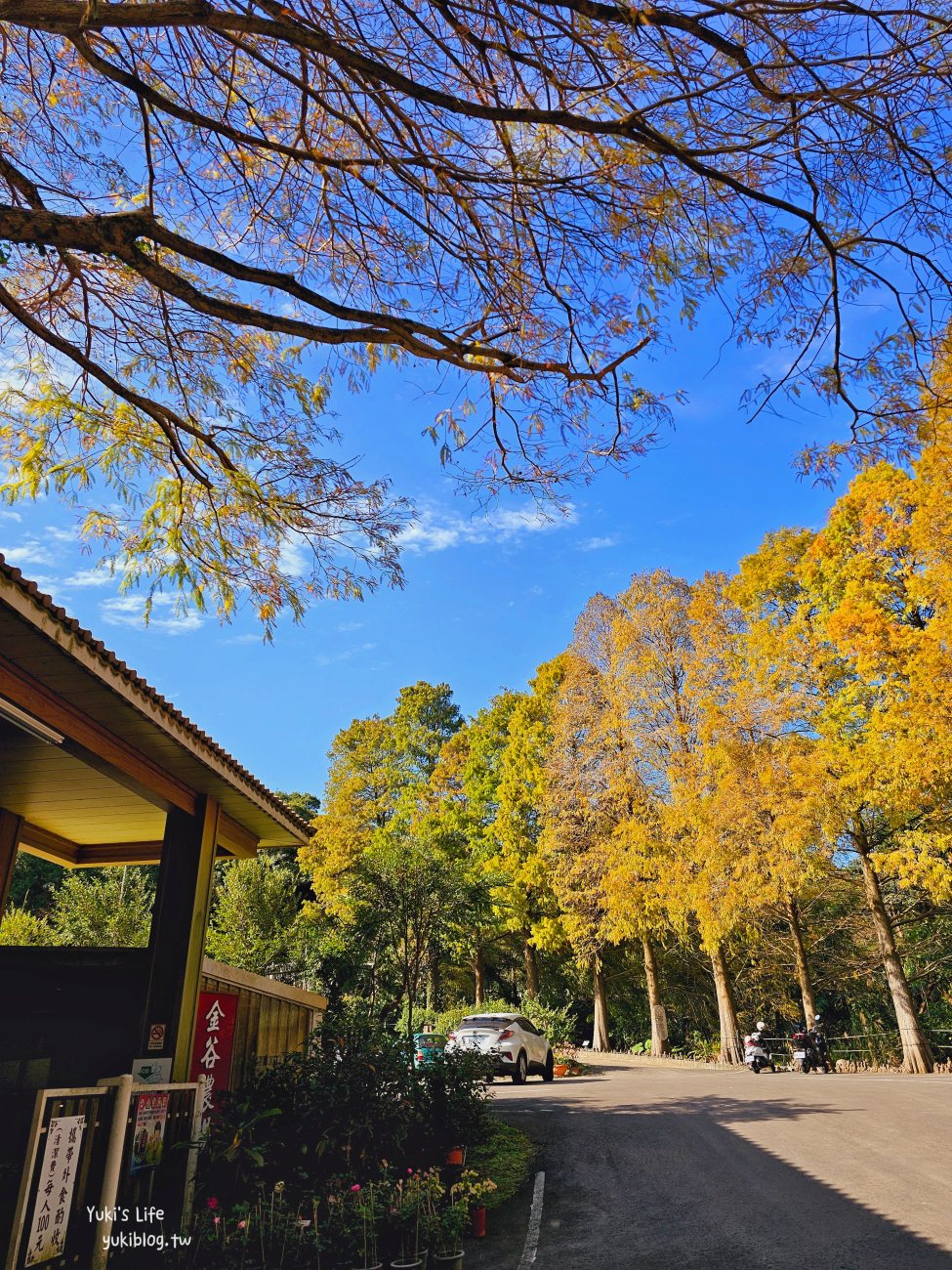 【新竹新埔一日遊】九芎湖步道落羽松必玩必吃！照門休閒農業區秘境、親子DIY、賞柿餅 - yuki.tw