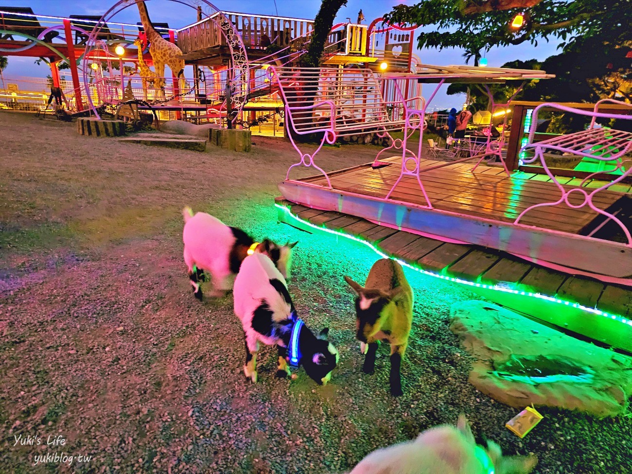 【南投星月天空夜景景觀餐廳】笑笑羊圍繞身邊、百萬夜景！親子旅行情侶約會必來 - yuki.tw