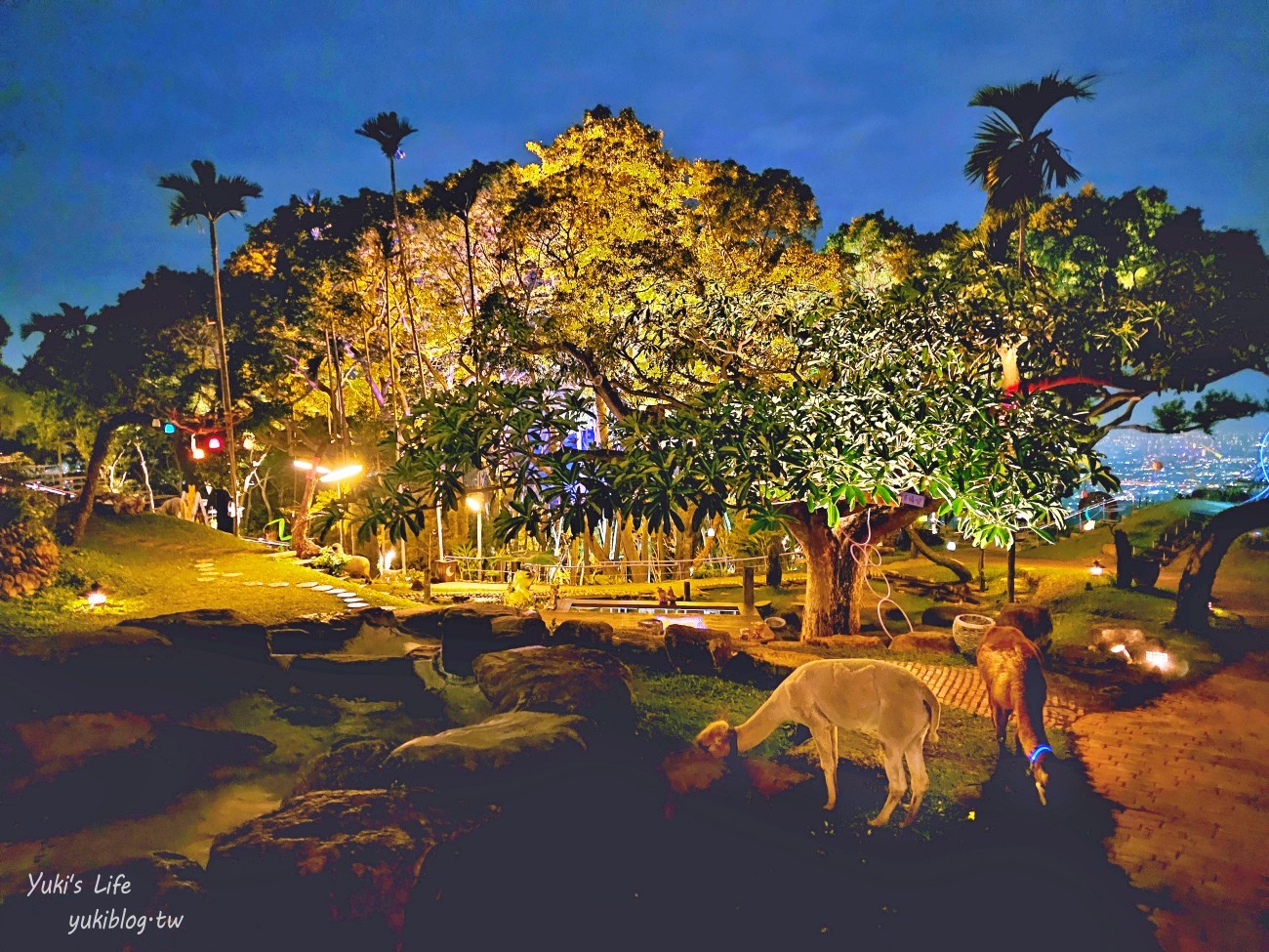 【南投星月天空夜景景觀餐廳】笑笑羊圍繞身邊、百萬夜景！親子旅行情侶約會必來 - yuki.tw