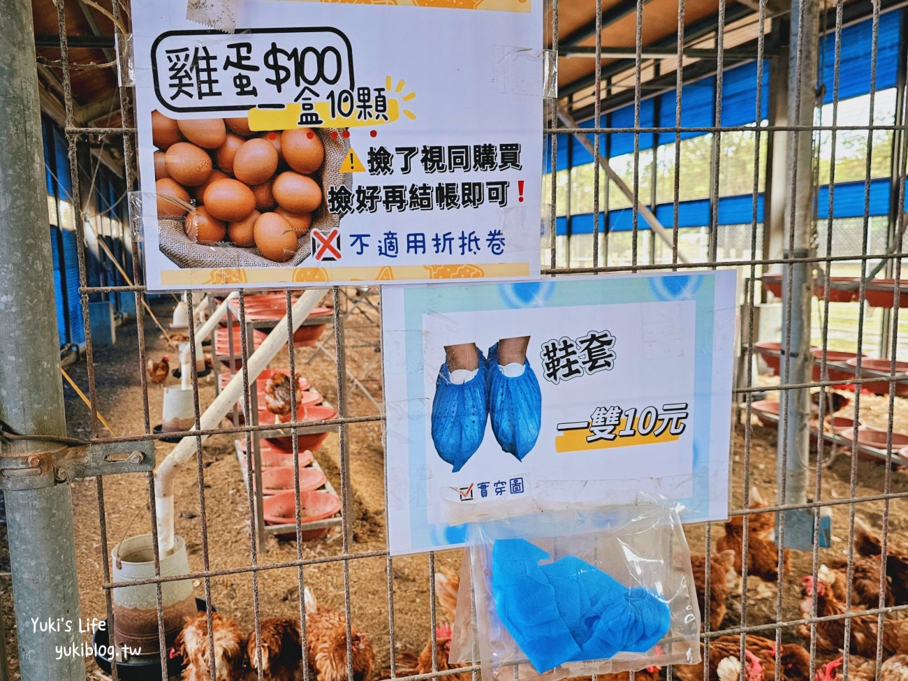 彰化北斗景點》正實親子農場，暢玩氣墊滑梯.沙坑.餵食小動物，門票100元飼料不用再花錢 - yuki.tw