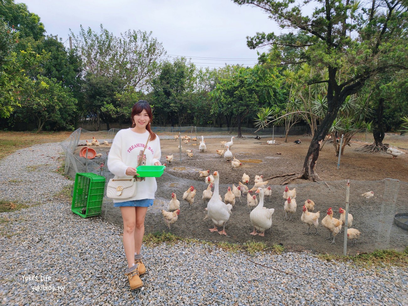 彰化北斗景點》正實親子農場，暢玩氣墊滑梯.沙坑.餵食小動物，門票100元飼料不用再花錢 - yuki.tw