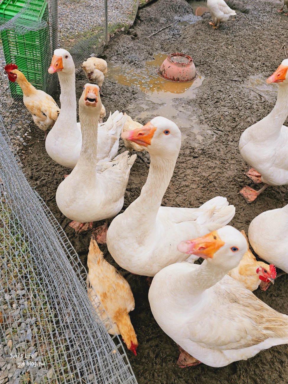 彰化北斗景點》正實親子農場，暢玩氣墊滑梯.沙坑.餵食小動物，門票100元飼料不用再花錢 - yuki.tw