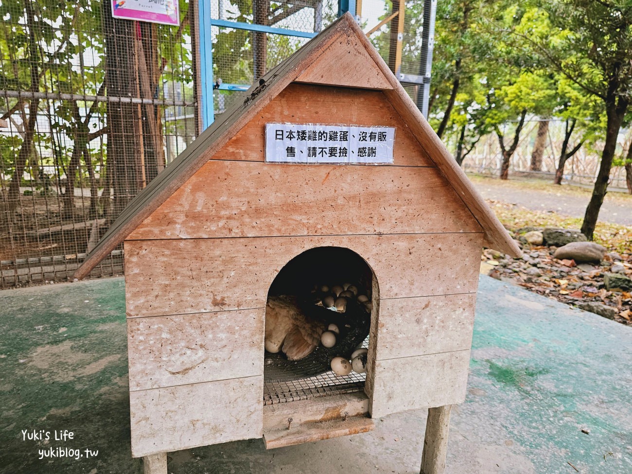 彰化北斗景點》正實親子農場，暢玩氣墊滑梯.沙坑.餵食小動物，門票100元飼料不用再花錢 - yuki.tw