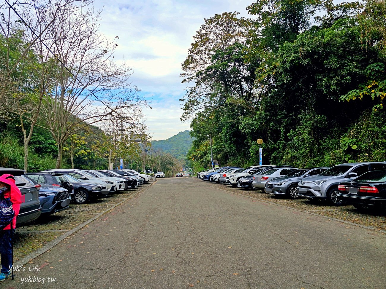 彰化景點【藤山步道】必吃美食愛玉蛋餅！散步逛農產藤山市集，菜價超便宜！ - yuki.tw