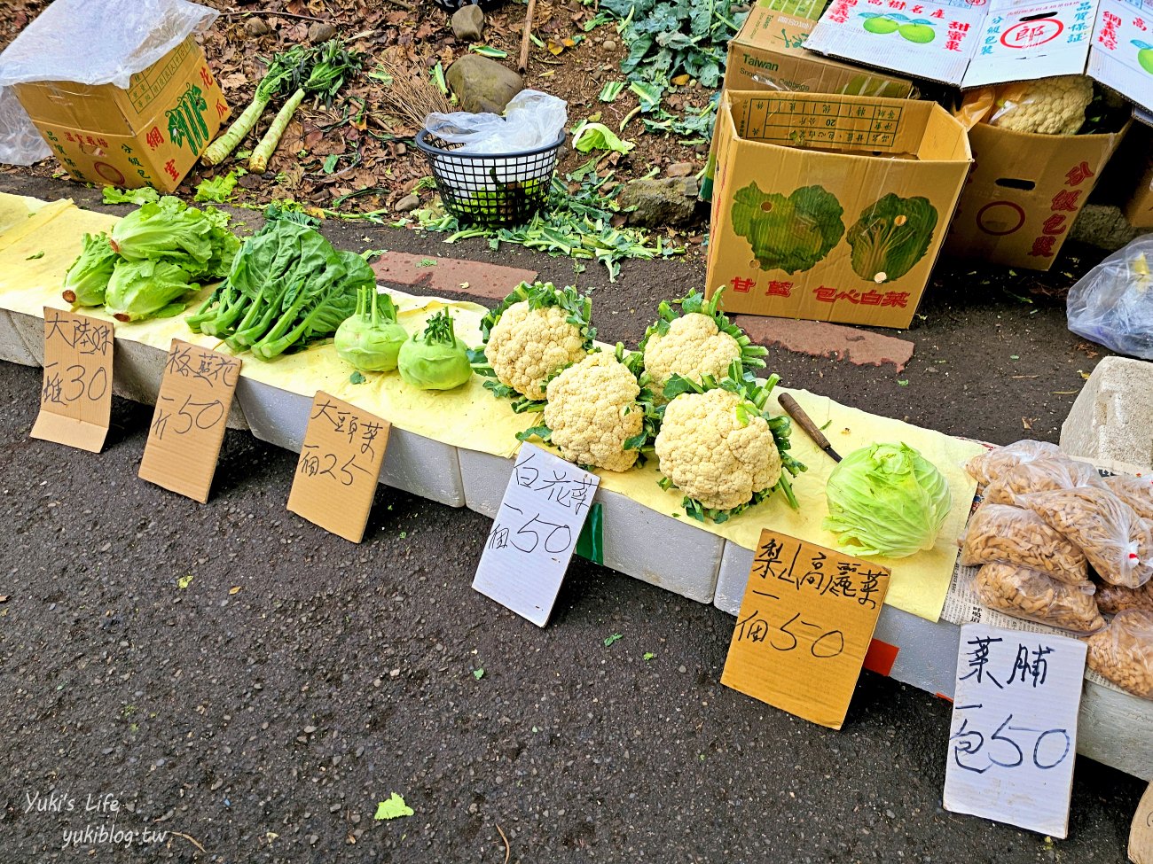 彰化景點【藤山步道】必吃美食愛玉蛋餅！散步逛農產藤山市集，菜價超便宜！ - yuki.tw