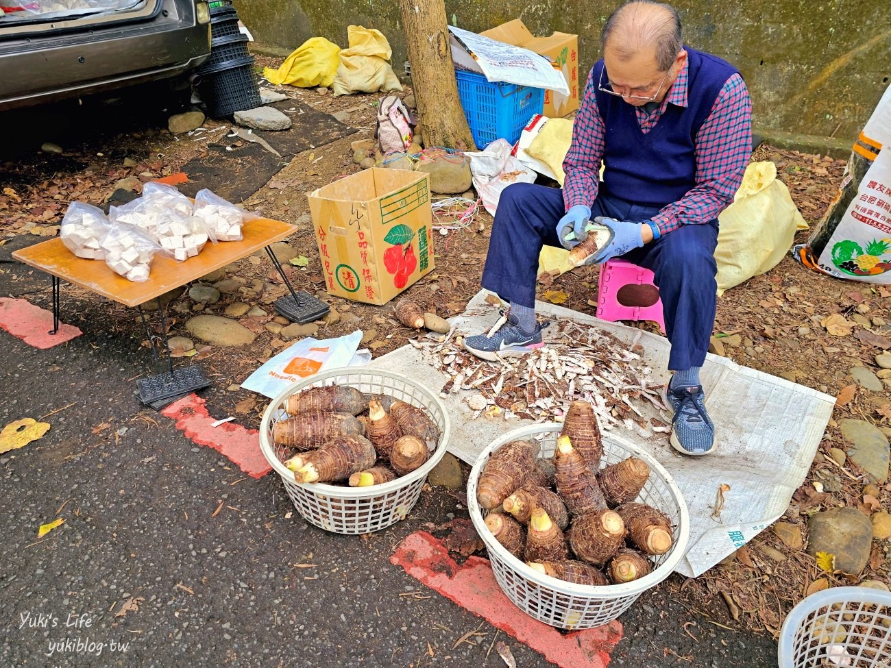 彰化景點【藤山步道】必吃美食愛玉蛋餅！散步逛農產藤山市集，菜價超便宜！ - yuki.tw