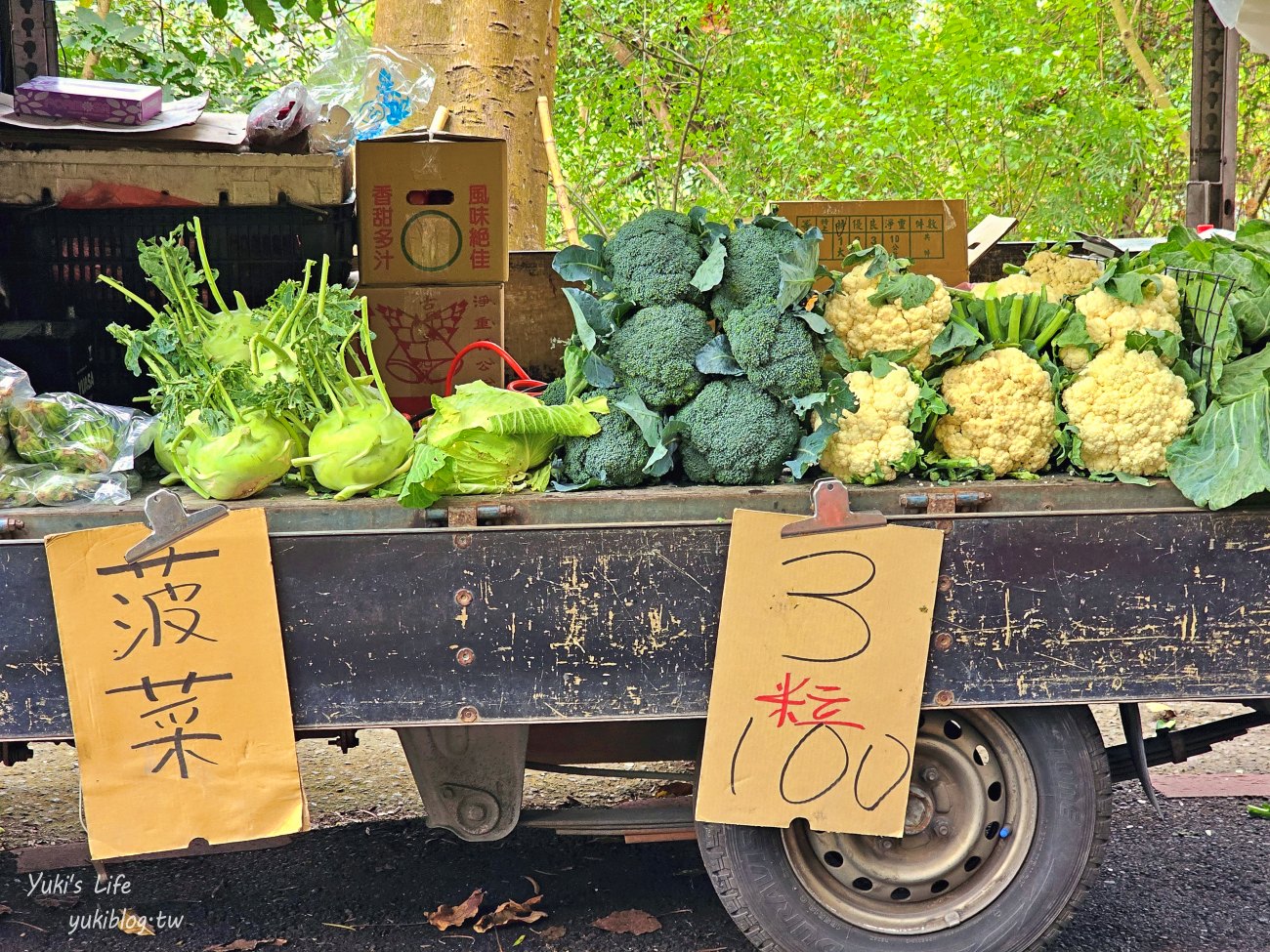 彰化景點【藤山步道】必吃美食愛玉蛋餅！散步逛農產藤山市集，菜價超便宜！ - yuki.tw