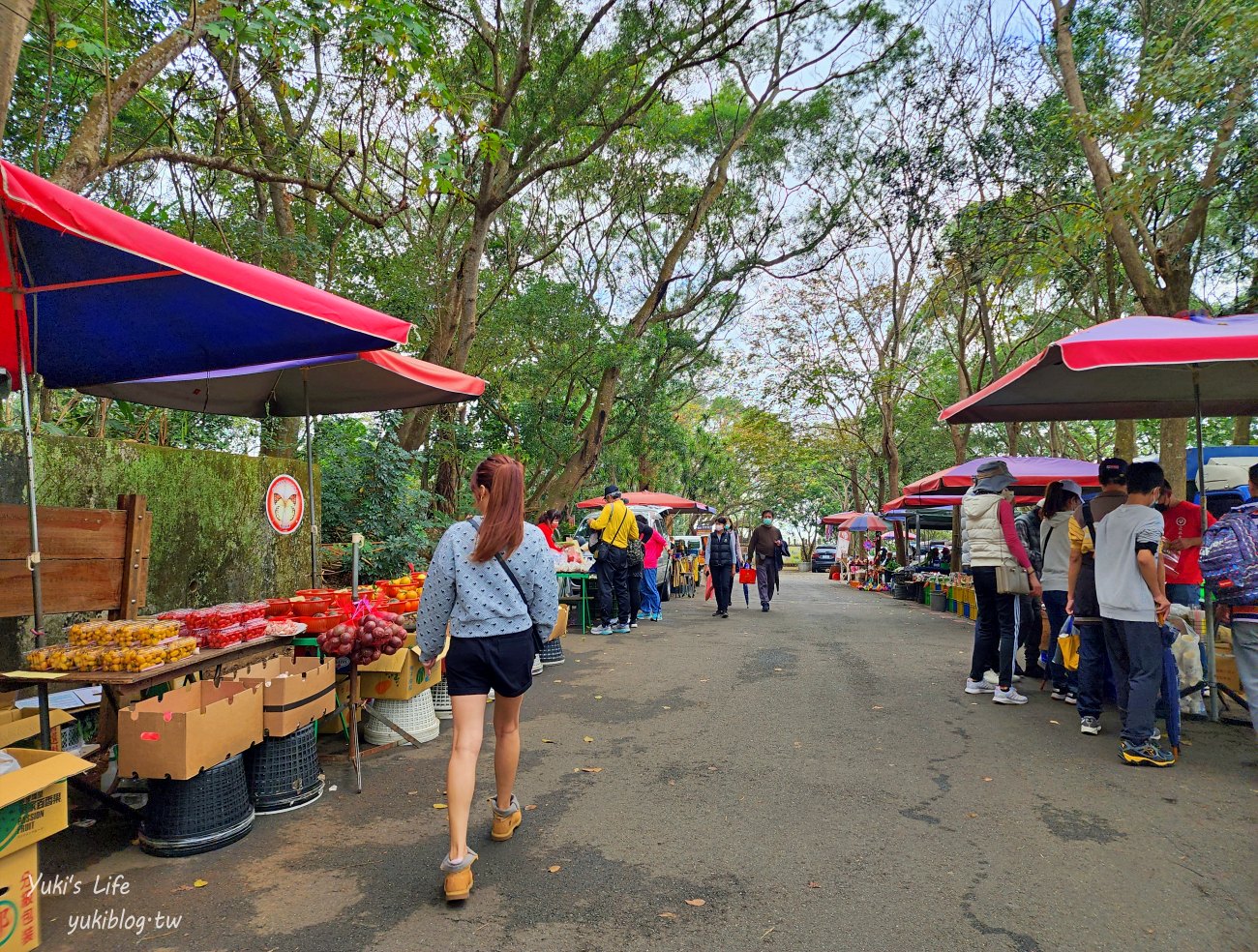 彰化景點【藤山步道】必吃美食愛玉蛋餅！散步逛農產藤山市集，菜價超便宜！ - yuki.tw