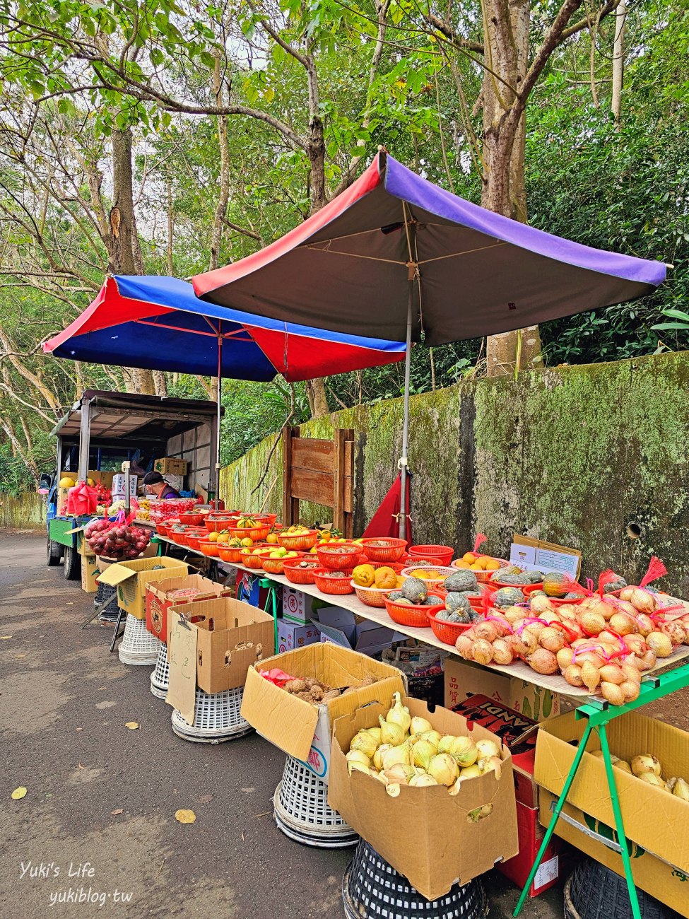 彰化景點【藤山步道】必吃美食愛玉蛋餅！散步逛農產藤山市集，菜價超便宜！ - yuki.tw