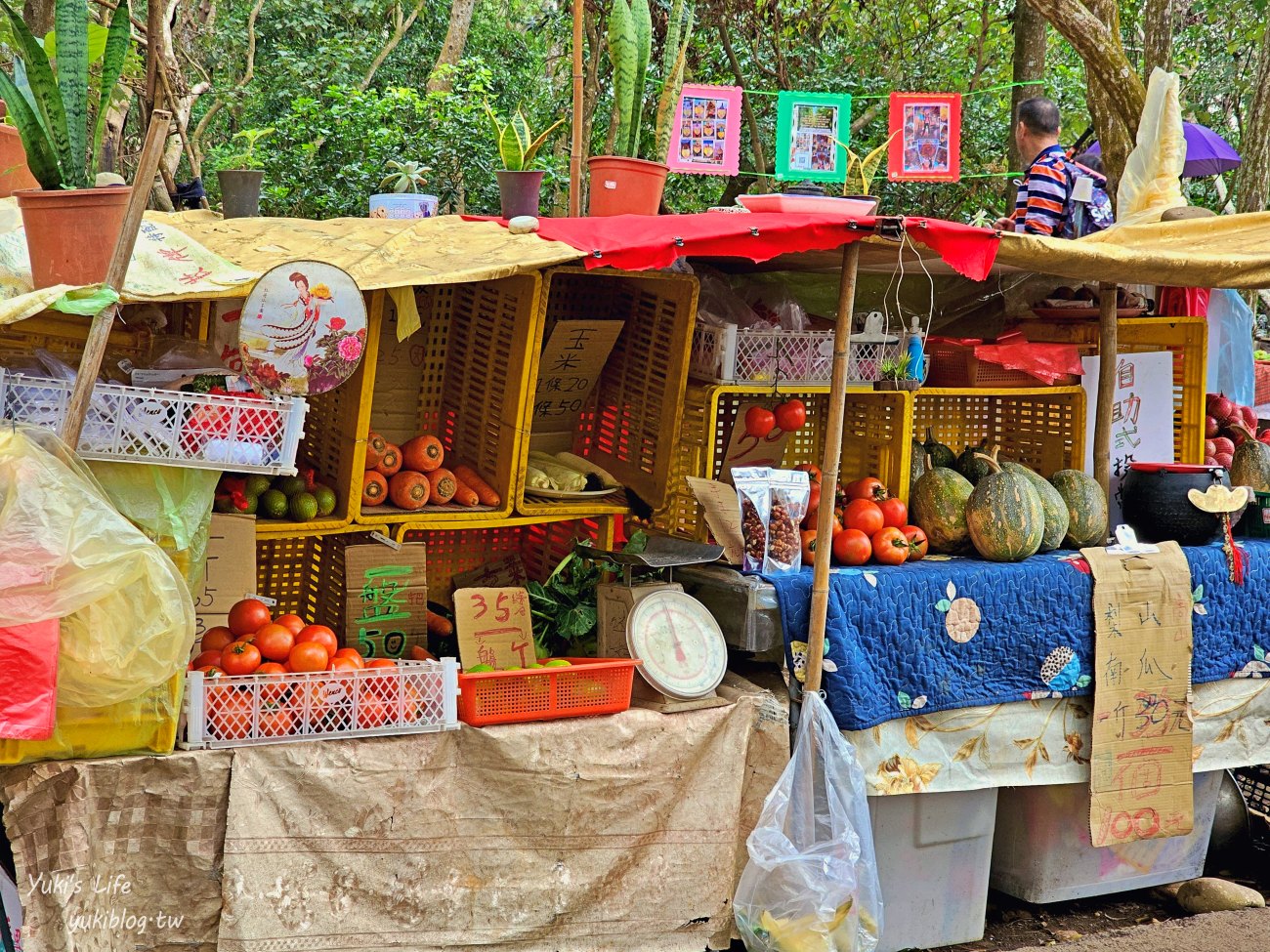 彰化景點【藤山步道】必吃美食愛玉蛋餅！散步逛農產藤山市集，菜價超便宜！ - yuki.tw