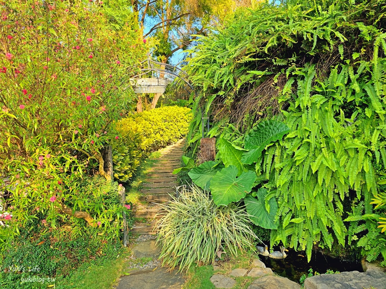 嘉義景點【幸福山丘HappyHill】夢幻花園貨櫃屋咖啡、空中步道、落羽松秘境、療癒大草皮～ - yuki.tw