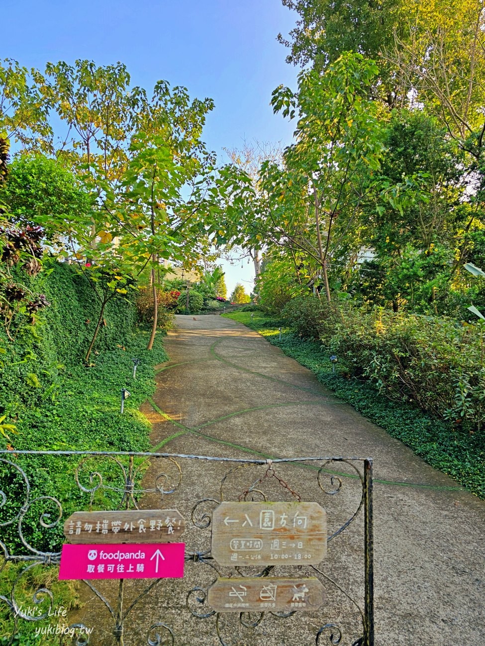 嘉義景點【幸福山丘HappyHill】夢幻花園貨櫃屋咖啡、空中步道、落羽松秘境、療癒大草皮～ - yuki.tw