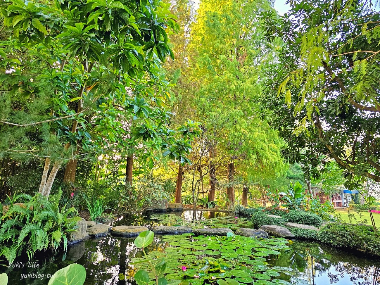 嘉義景點【幸福山丘HappyHill】夢幻花園貨櫃屋咖啡、空中步道、落羽松秘境、療癒大草皮～ - yuki.tw