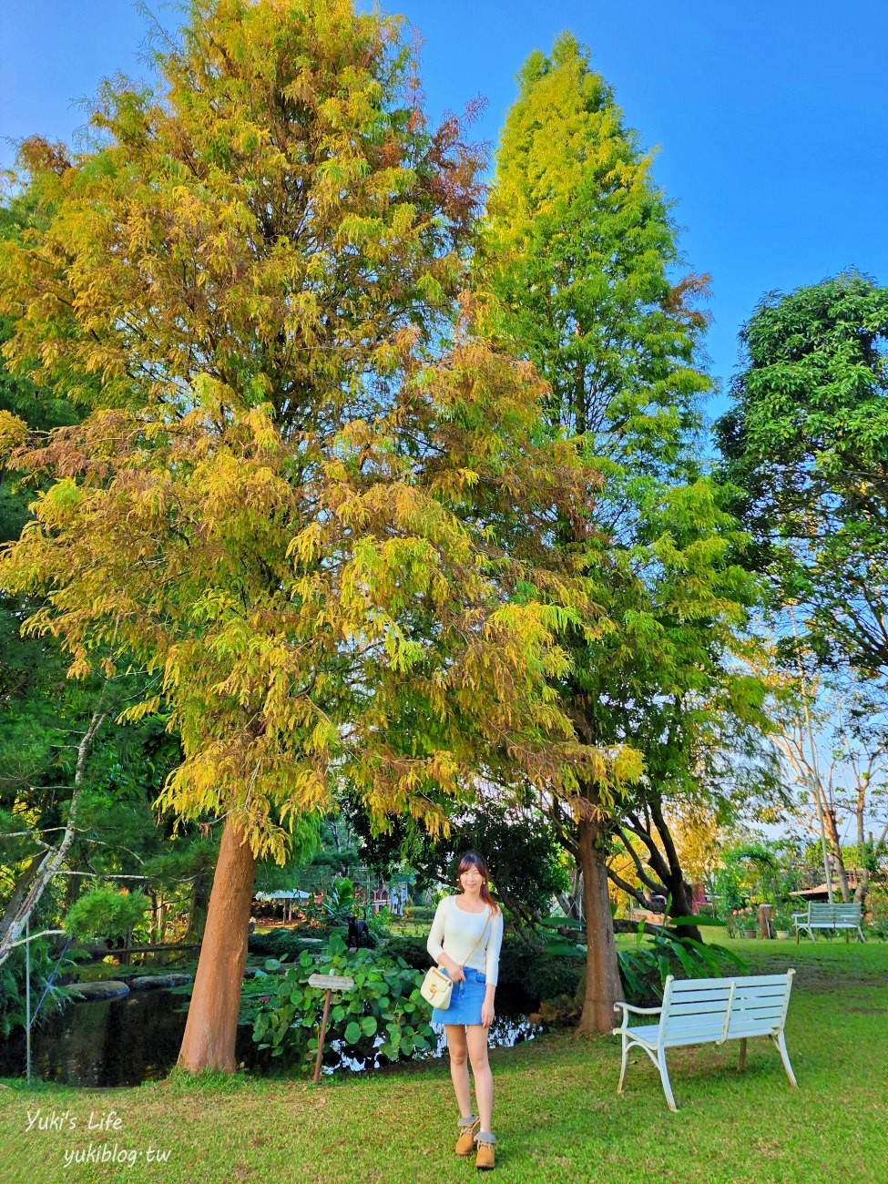 嘉義景點【幸福山丘HappyHill】夢幻花園貨櫃屋咖啡、空中步道、落羽松秘境、療癒大草皮～ - yuki.tw