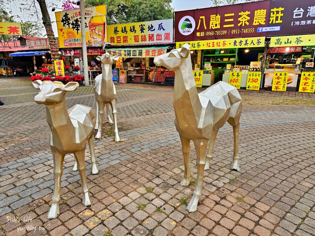 南投竹山景點|紫南宮&金天宮老祖|如何求發財金和金雞.如何還金.美食停車全攻略 - yuki.tw