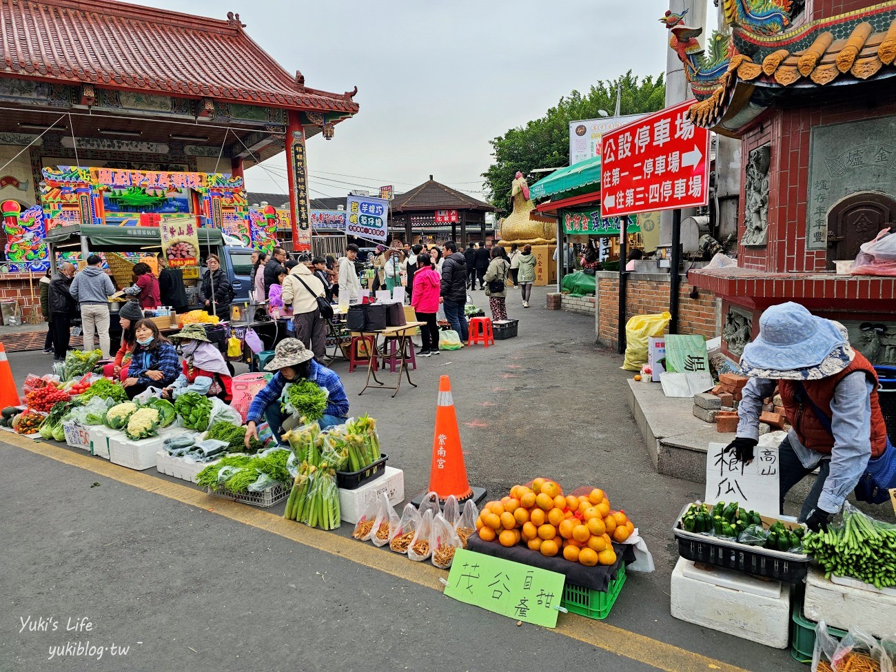 南投竹山景點|紫南宮&金天宮老祖|如何求發財金和金雞.如何還金.美食停車全攻略 - yuki.tw